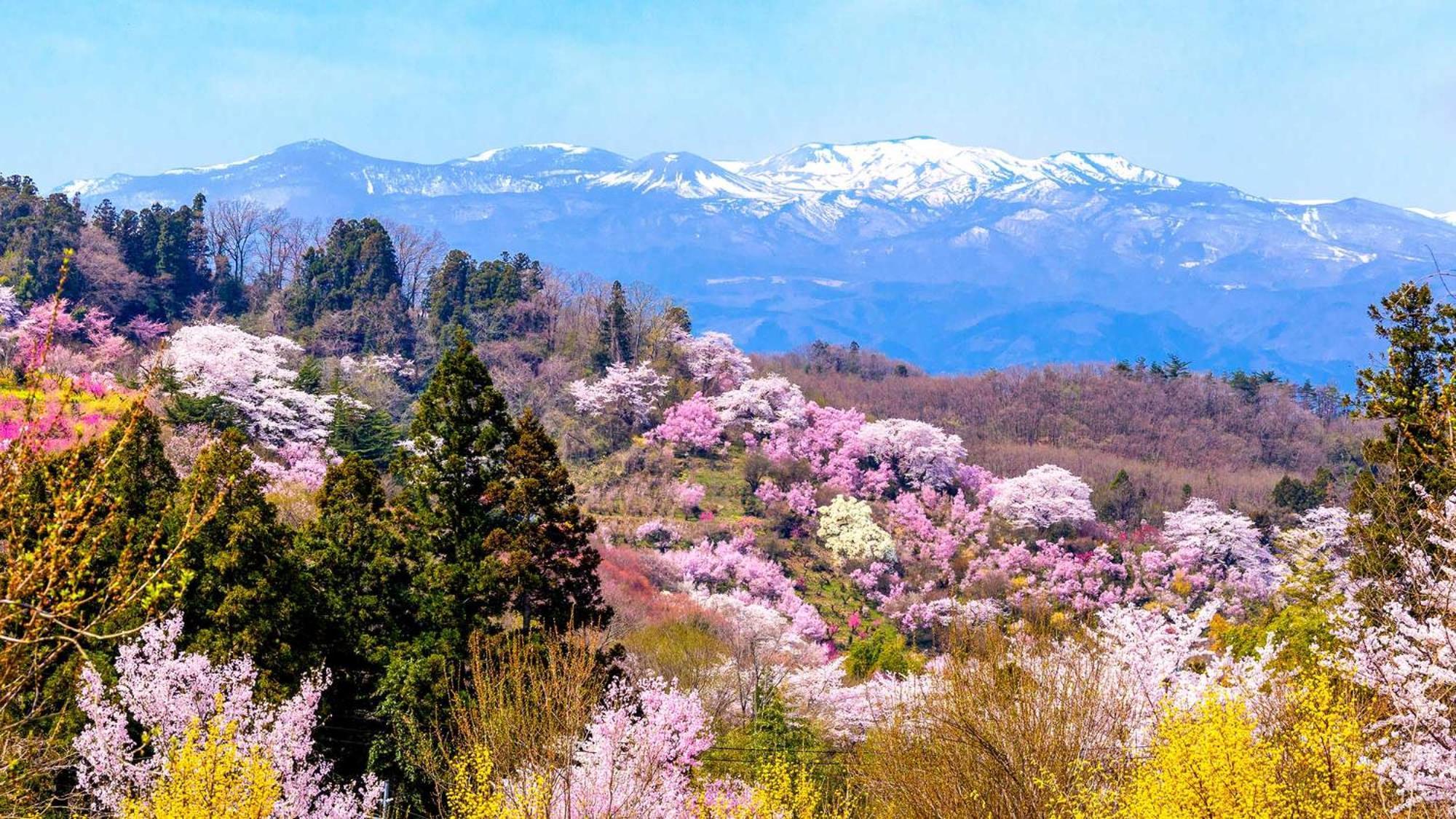 Toyoko Inn Fukushima Eki Nishi Guchi Exteriér fotografie